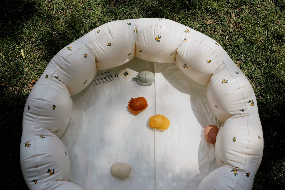 Animal Mold Free Silicone Bath Toy Set 